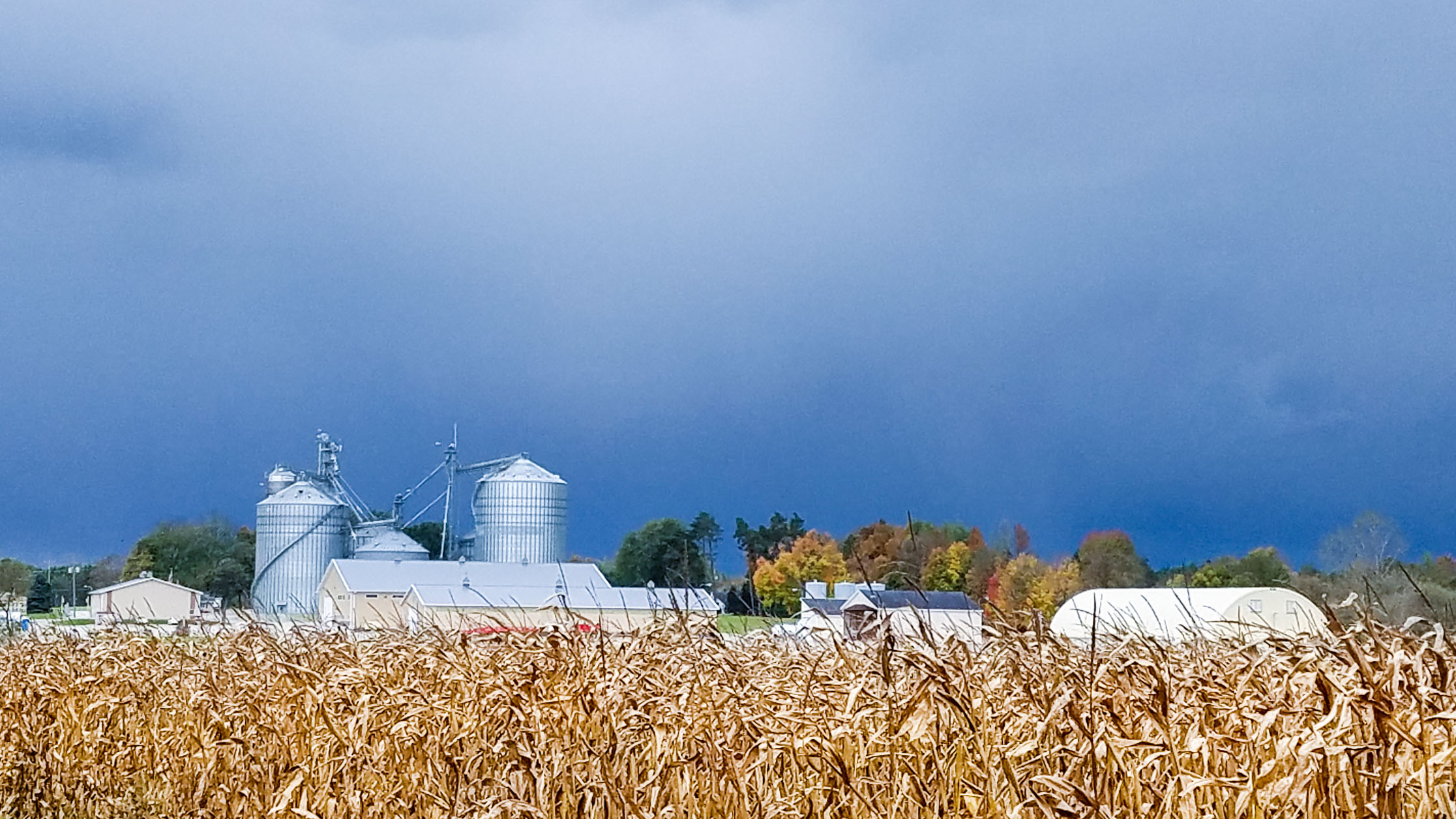 Hunt Farms, Genesee County, MI