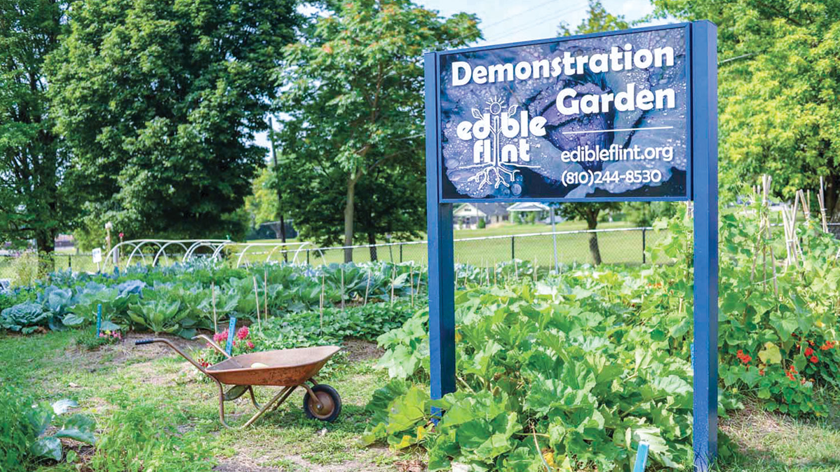 Edible Flint garden, Flint, MI