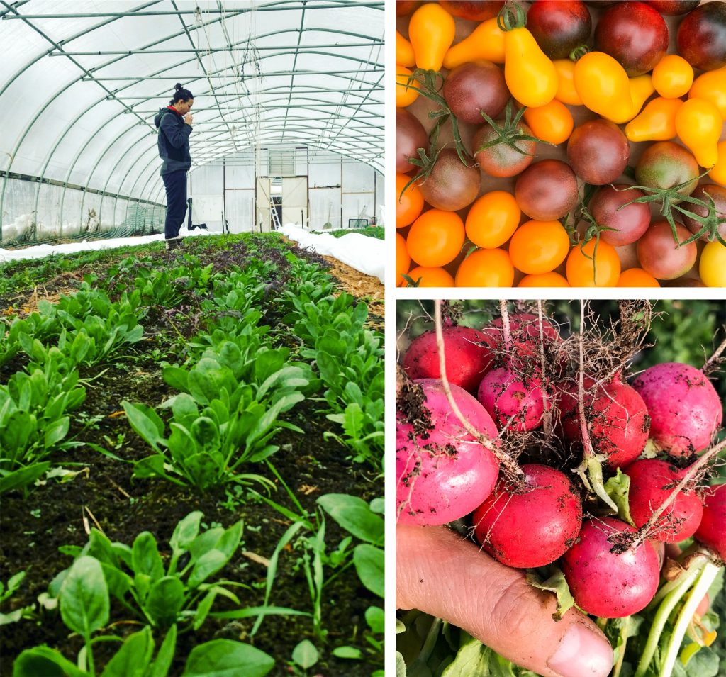 Flint Fresh produce, Flint, MI