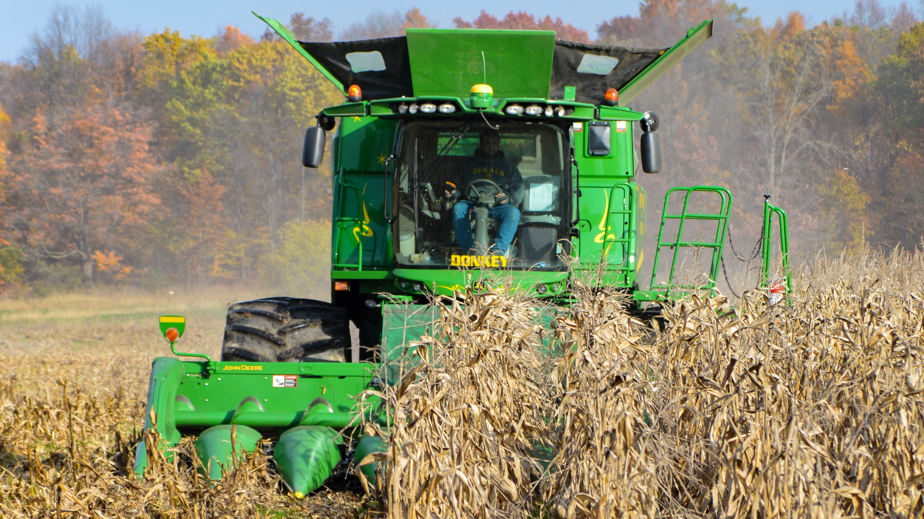 Combine harvesting corn at Hunt Farms, Genesee County, Michigan