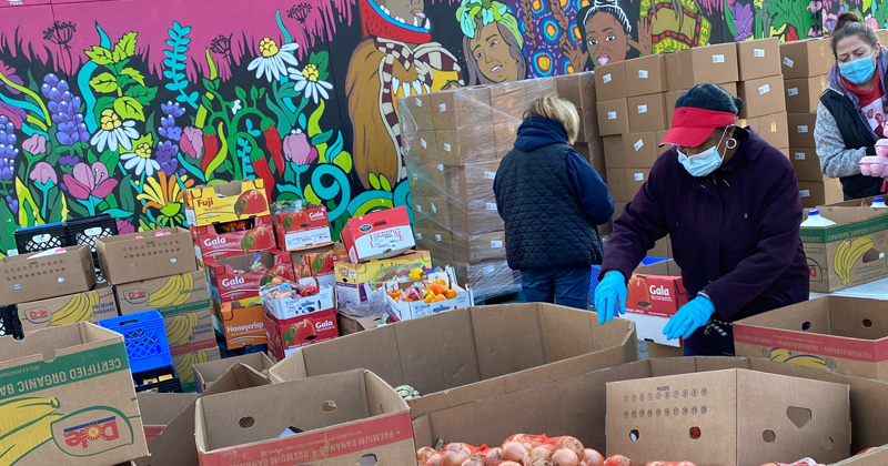 Volunteers sort food at the Martus Luna Food Pantry