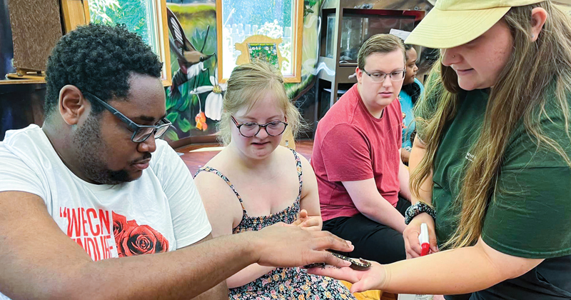 Young people pet a frog